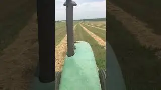 Raking hay