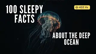 The Most Relaxing Facts About The Ocean to Fall Asleep To &mdash; 100 Secrets of the Deep (2 Hours)