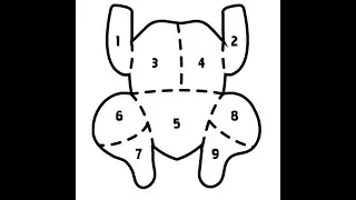 Baader KFC Multi Cut 30