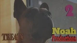 Treats&trade; - Short 2 
