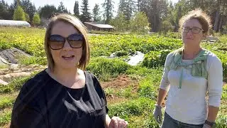 Why local food MATTERS | Local Food Farm Tour (Comox Valley)