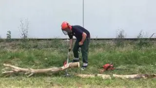 Timber Jack Log Lifter Demo