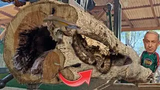 Falling apart!! Alleged brutal attack on Australian timber factory full of horrors || Sawmill