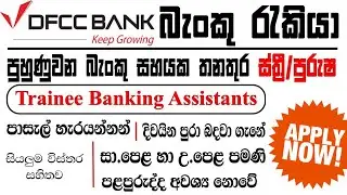 Trainee Banking Assistants Job I Dfcc Bank Job I Job Vacancy