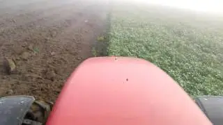 Mf 5455+krone 3 fejes eke