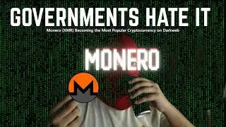 Monero XMR: основы, настройка кошелька и преимущества конфиденциальности