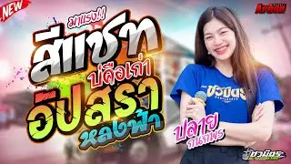 #มาแรง สีแชทบ่คือเก่า-อัปสราหลงฟ้า ปลาย กนกพร รถแห่ชวมิตรหน่วย2ซุปเปอร์บิ๊ก ซาวด์เพราะ เบสแน่น