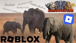 Game play แรด roblox savannah life + เซฟตังเพื่อช้าง 35%