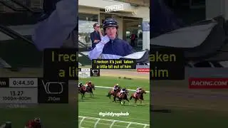 Champion Jockey Jamie Kah  - Gives Thoughts on Inundation 🐎🏆 #shorts #horseracing