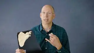 Understand Your Surgery- Shoulder Replacement