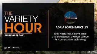 Adri&agrave; L&oacute;pez-Baucells: Bats - the best combo for conservation technology
