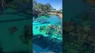 Sea world, Gold Coast Australia!