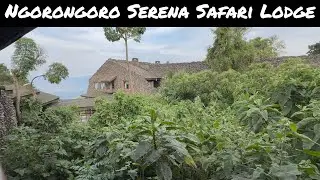 Экскурсия по Ngorongoro Serena Safari Lodge: внутри лучшего отеля в кратере Нгоронгоро и сафари-л...