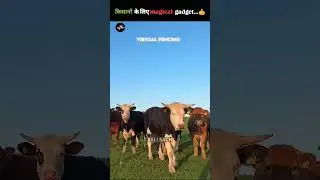 Amazing Farming Gadgets That Will Blow Your Mind 🤯 #facts #shorts
