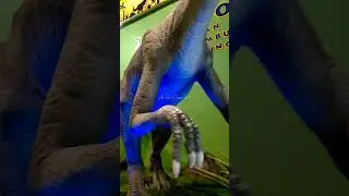 Unaysaurus, herbivorous dinosaur, from Brazil