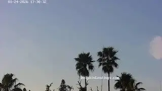 Dolphin Landings - Live Stream