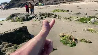 What are intertidal zones?