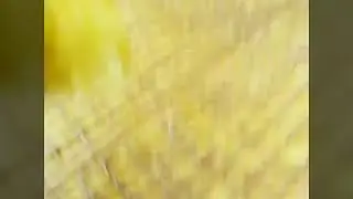 بسبوسه نوتيلا