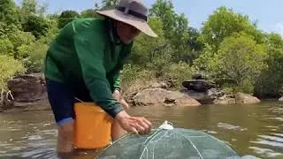 Filet de p&ecirc;che - FishTrap&trade;