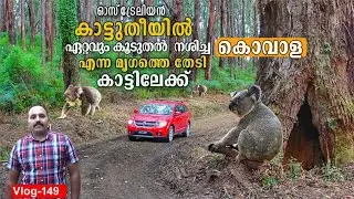 കൊവാലയെ കാട്ടിൽവച്ചു കണ്ടുമുട്ടിയപ്പോൾ Wild life Vlog by Binnichen Thomas