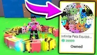 BUYING THE INFINITE PET GAMEPASS for 40K ROBUX!! (Roblox Pet Simulator)