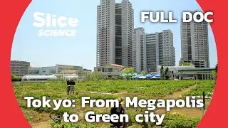 Tokyo: reinventing the planet&rsquo;s biggest metropolis through nature | SLICE SCIENCE | FULL DOCUMENTARY