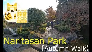 🍁🍂 [Autumn Walk at Naritasan Park — Full 4K 2D Uncut Edition] 🍂🍁