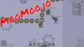 moomoo.io new features -  Robin hood spotted  - Moomoo new hat feature