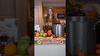 SUGAR FREE APPLE CIDER 🍎🍏 This fall drink is a must make! #applecider #falldrinks #fallrecipes