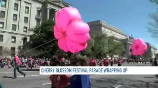 Cherry Blossom parade wraps up