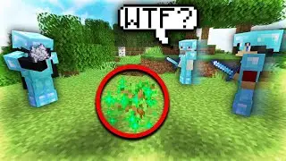 The Biggest Tree Trap in HCF History... *INSANE*
