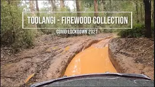 Toolangi  - Firewood Collection