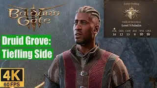 Baldur's Gate 3 Walkthrough Druid Grove Tiefling Side