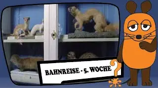 Bahnreise - 5. Woche