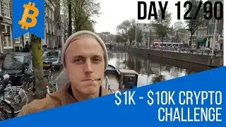 CRYPTO CHALLENGE DAY 12/90 INSUREPAL ICO REVIEW!!