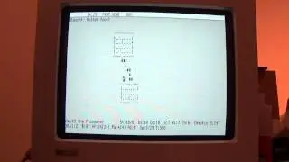 VT100 Nethack