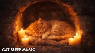 Cat Sleep Music: Gentle Piano Melodies for Cats to Sleep Peacefully