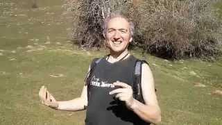 El Bimb&oacute; Baxerri