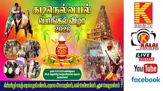 🔴நேரலை | நமது கடிநெல்வயல் பொங்கல் விழா | kalaitv photography
