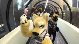 FWA 2016