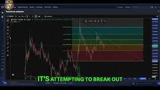 Toshi Crypto Update: Bullish Trend Analysis & Targets!