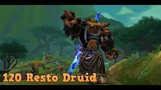 Day 11 With No Twinks(120 Resto Druid 2v2 Games)[8.1.5]