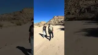 Прогулка по руслу реки в каньоне Кроу, Нью-Мексико #crowcanyon #newmexico #foryoupageyoutube #for...