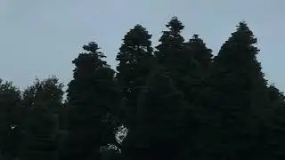 Faster hovering above of Nazgul evoque f5 v2