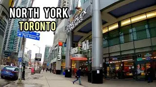 North York Toronto, Sheppard to Finch on Yonge Street February  2022