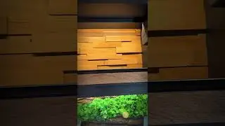 Barschrank mit Moosbild 