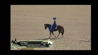 Stacie Zimmerman and Peso at Mustang Classic 2025 finals performance 🤍