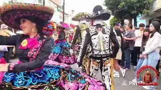 Comparsa Jaguares 2026
