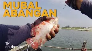 SPOT INI SELALU DAPAT DIANDALKAN, MANCING WKO