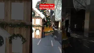 #shortvideo #christamastree #paragonmall #tall #beautiful